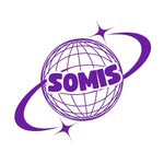 MIS logo