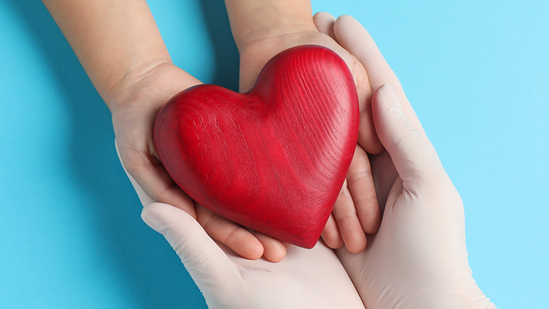 Two sets of hands holding a red wooden heart