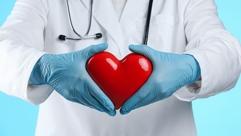 Doctor in a lab coat holding a red toy heart