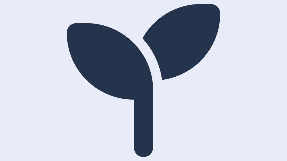 budding leaf