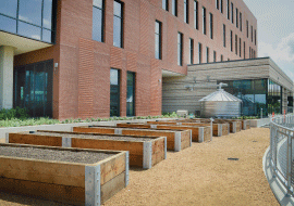 CST outdoor garden