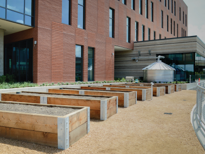 UHD Garden