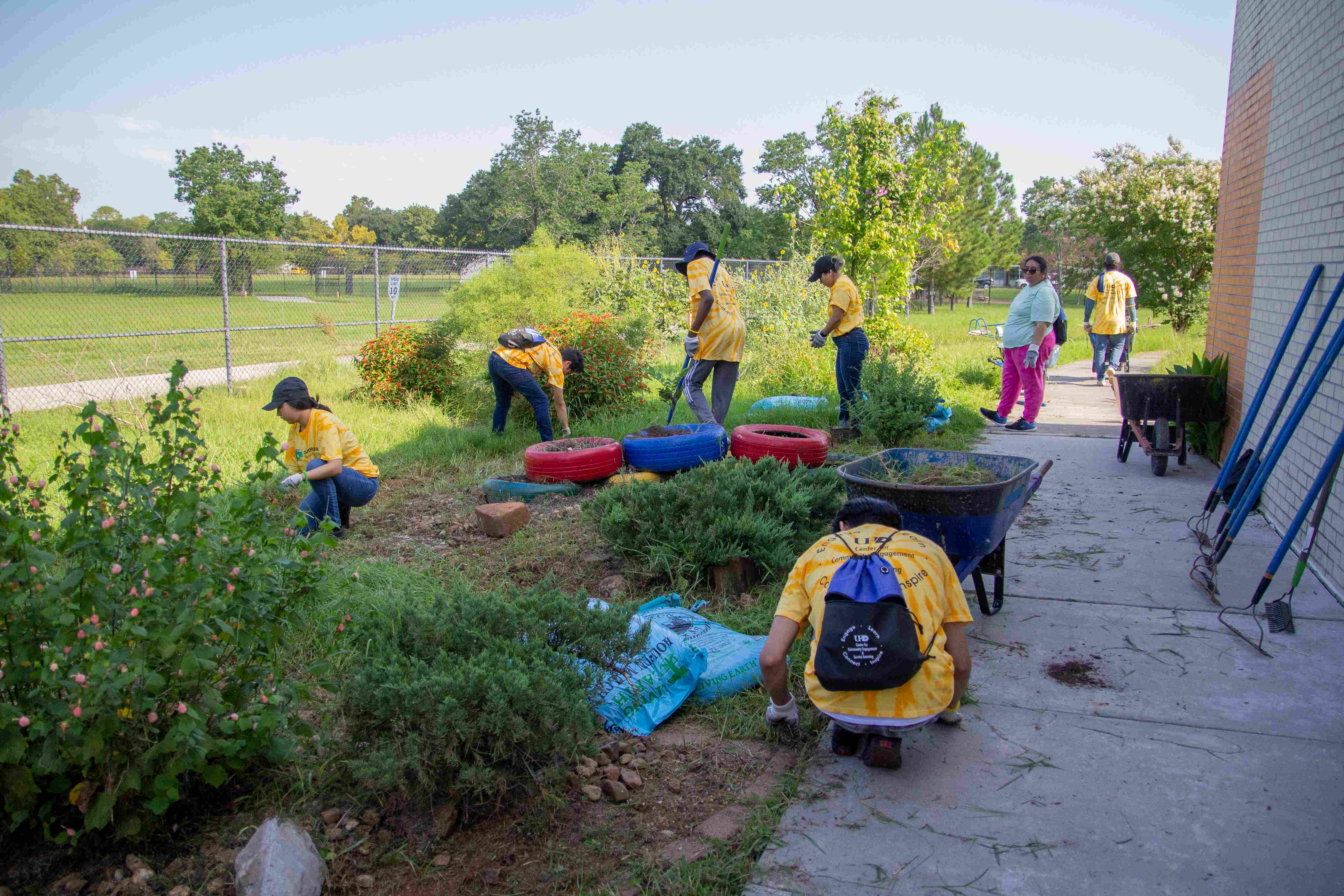 volunteers