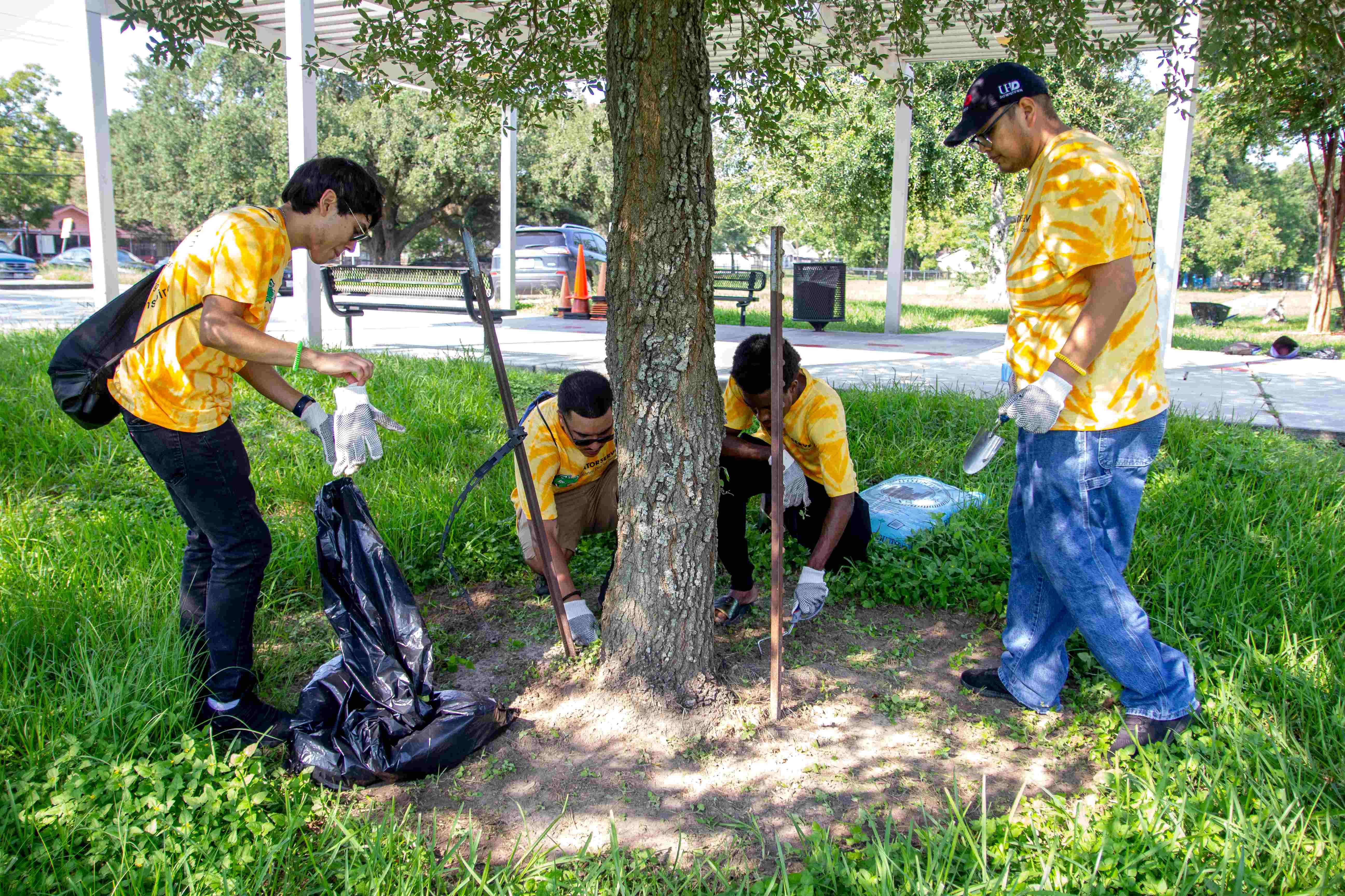volunteers