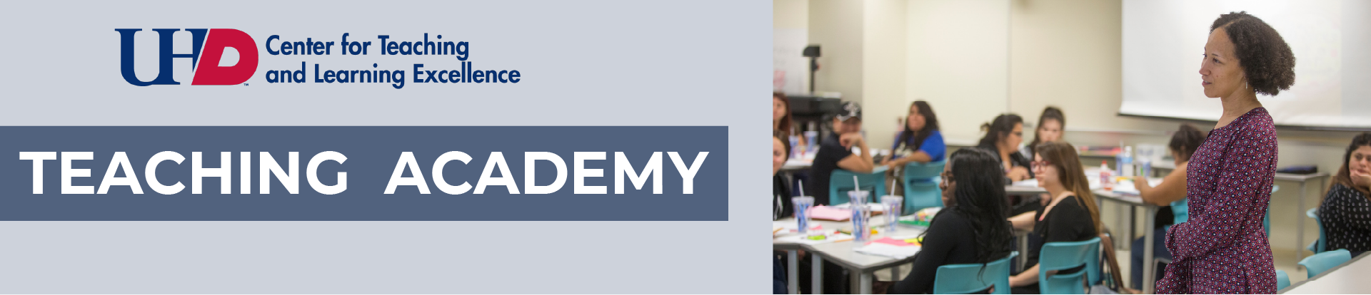 Teaching Academy Banner Teaching Academy Banner