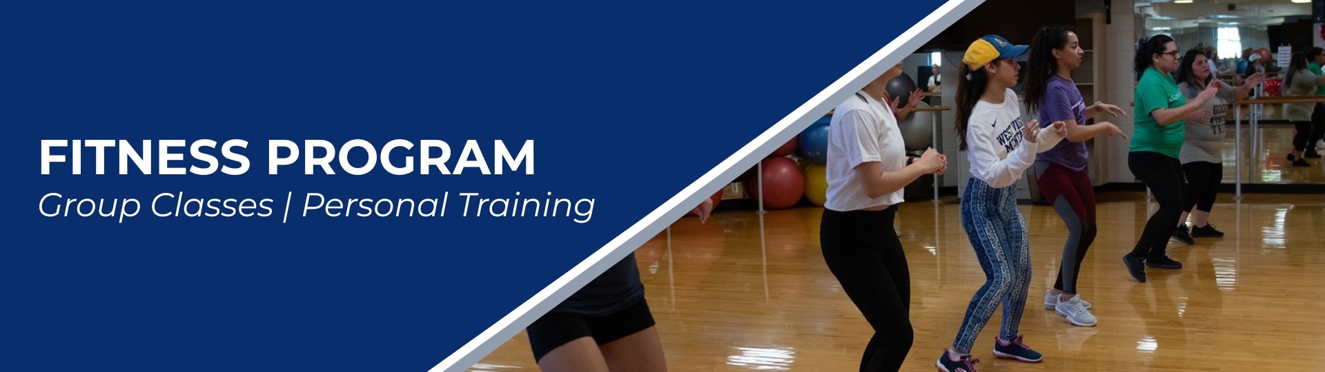 Fitness Programs